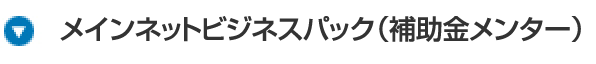 メインネットビジネスパック（補助金メンター）